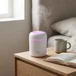 H2O Humidifier