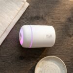H2O Humidifier